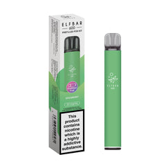 ELFBAR 600 2025 KIT SPEARMINT (10)