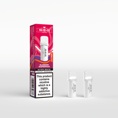 SKE 600 REFILL POD 2 PACK BLUEBERRY RASPBERRIES (10)
