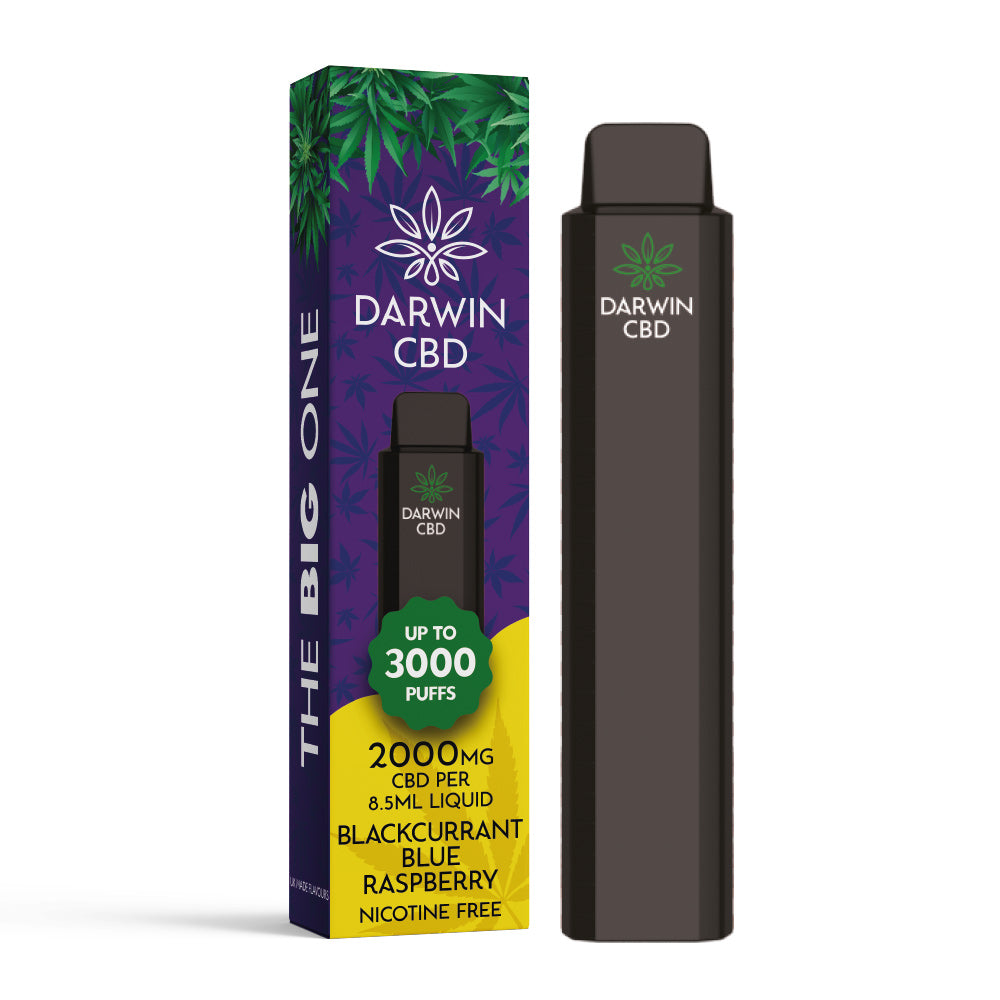 DARWIN CBD – THE BIG ONE – 8.5ML 2000MG DISPOSABLE – BLACKCURRANT BLUE RASPBERRY