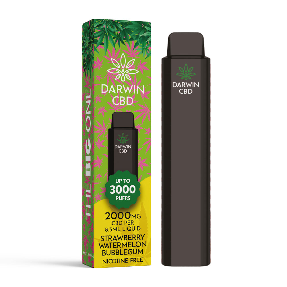 DARWIN CBD – THE BIG ONE – 8.5ML 2000MG DISPOSABLE – STRAWBERRY WATERMELON BUBBLEGUM