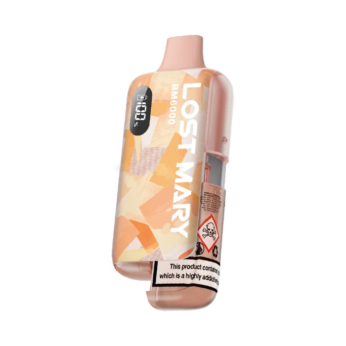LOST MARY BM6000 KIT SNOOW TOBACCO (5)